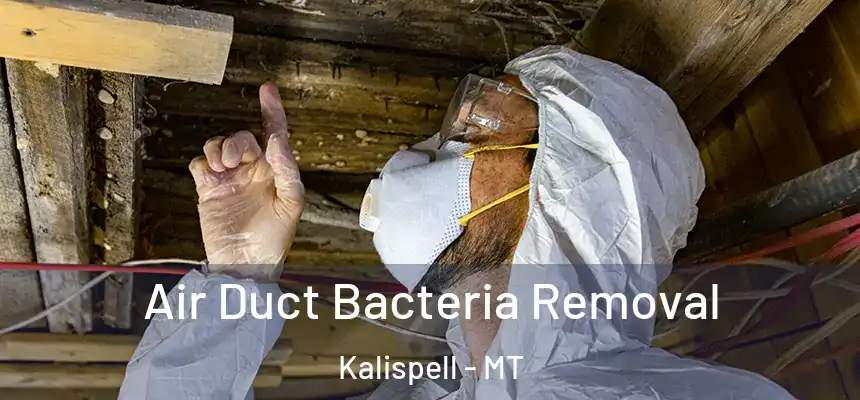  Air Duct Bacteria Removal Kalispell - MT