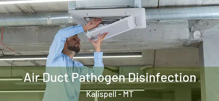  Air Duct Pathogen Disinfection Kalispell - MT