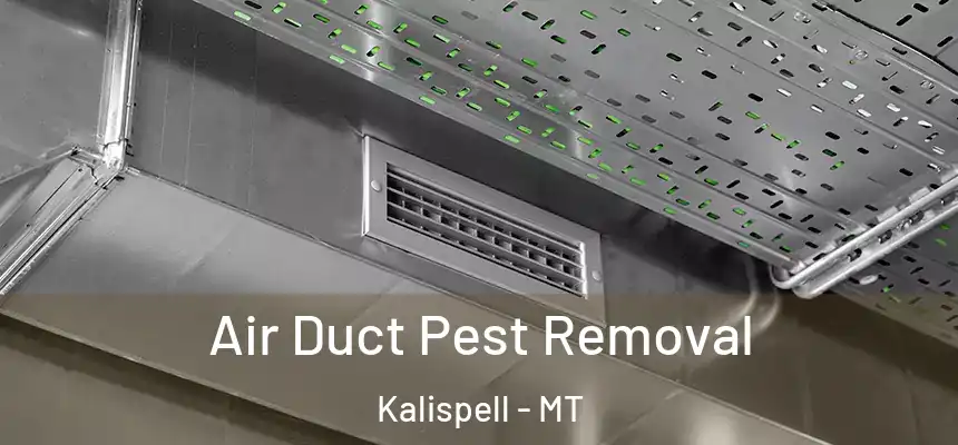  Air Duct Pest Removal Kalispell - MT