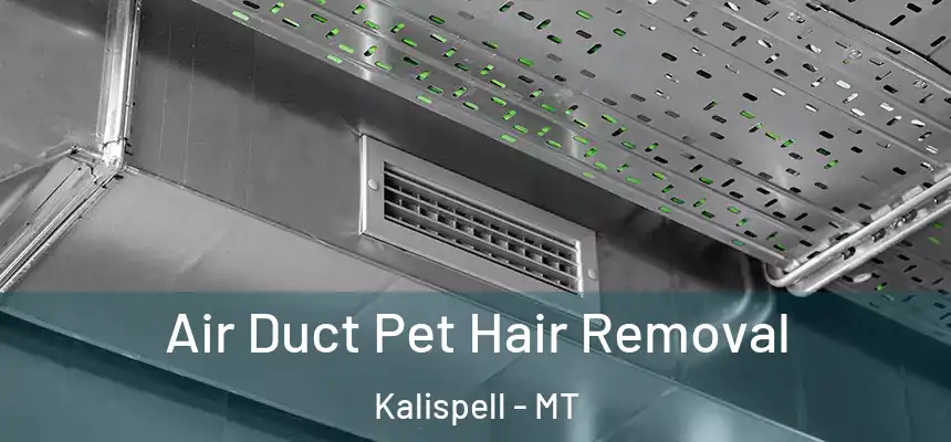  Air Duct Pet Hair Removal Kalispell - MT