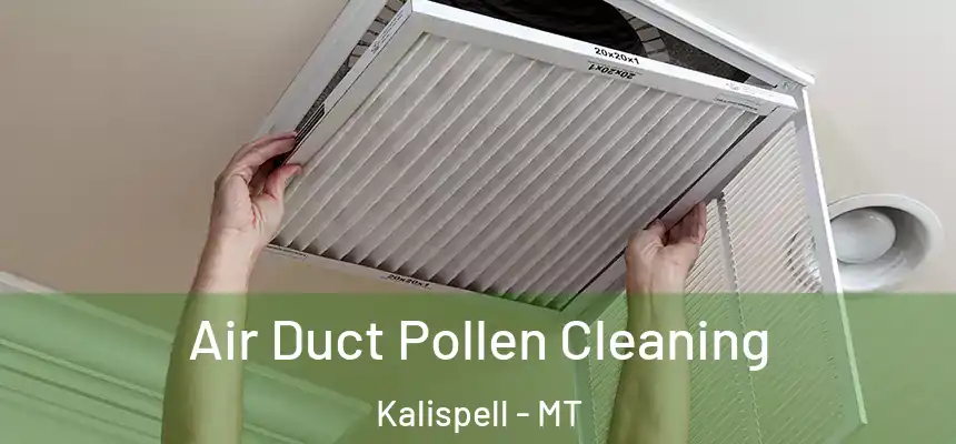  Air Duct Pollen Cleaning Kalispell - MT