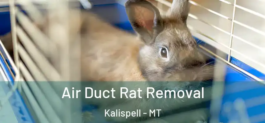  Air Duct Rat Removal Kalispell - MT