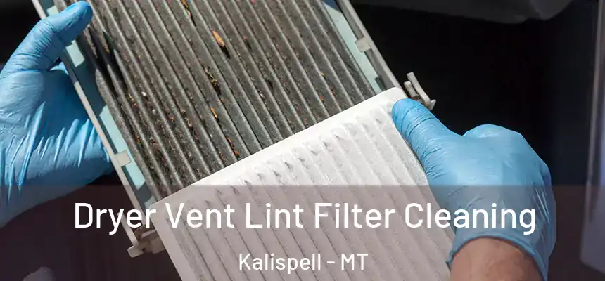 Dryer Vent Lint Filter Cleaning Kalispell - MT
