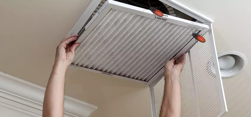 Preventive Cockroach-Proofing for Ducts in Kalispell