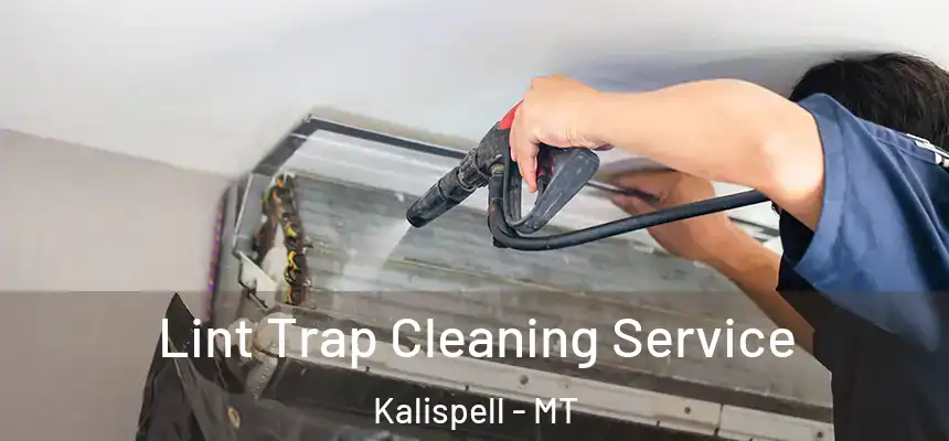 Lint Trap Cleaning Service Kalispell - MT
