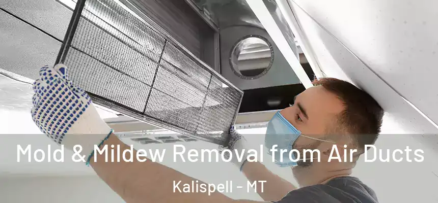  Mold & Mildew Removal from Air Ducts Kalispell - MT