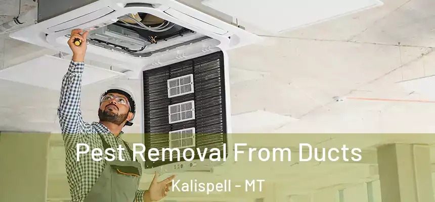  Pest Removal From Ducts Kalispell - MT