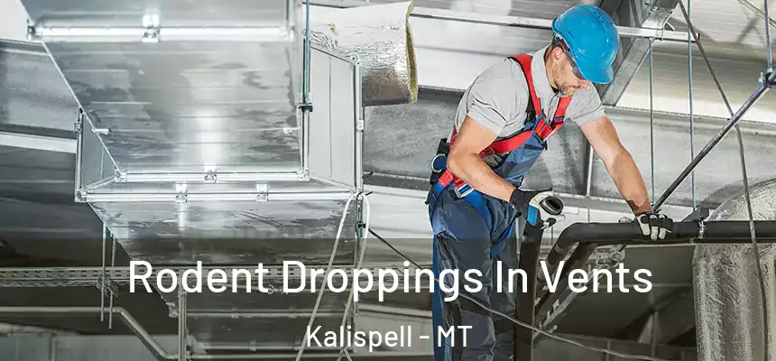  Rodent Droppings In Vents Kalispell - MT