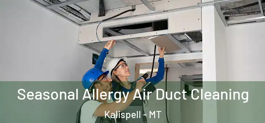  Seasonal Allergy Air Duct Cleaning Kalispell - MT