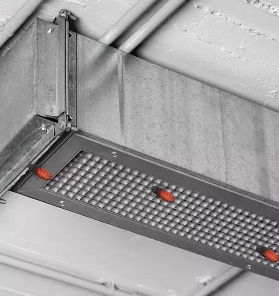 About Air Duct Cockroach Removal in Kalispell, MT