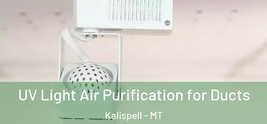  UV Light Air Purification for Ducts Kalispell - MT