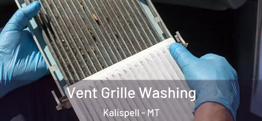  Vent Grille Washing Kalispell - MT